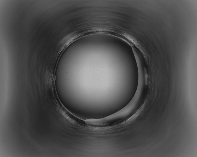 X0000087740985200705071049