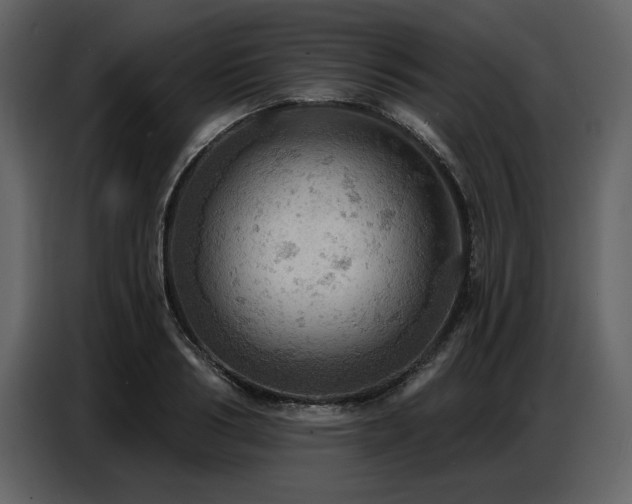 X0000087740986200705071049