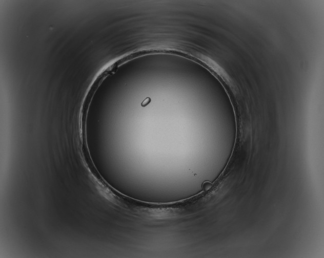 X0000087740988200705071049