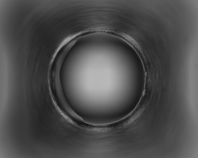 X0000087740989200705071049