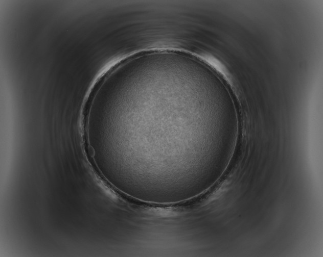 X0000087740990200705071049