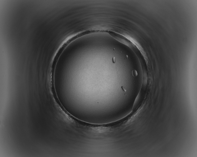 X0000087740992200705071049