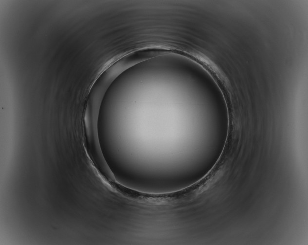 X0000087740993200705071049