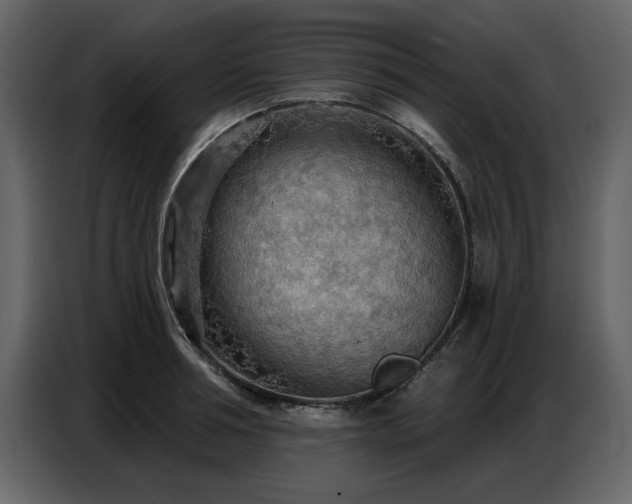 X0000087740994200705071049