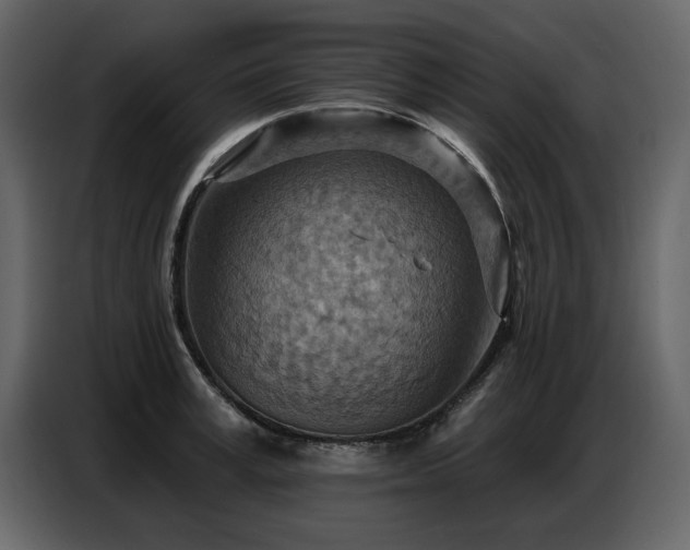 X0000087740995200705071049