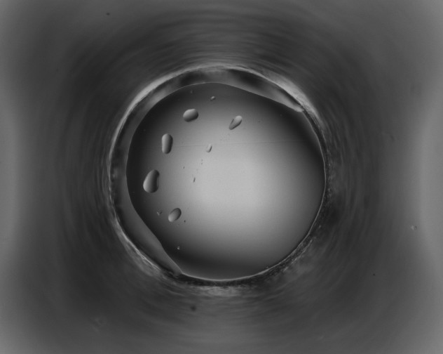 X0000087740996200705071049