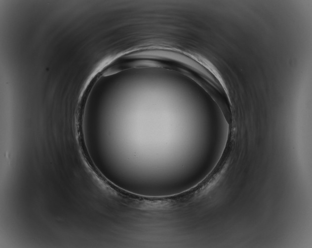 X0000087740997200705071049