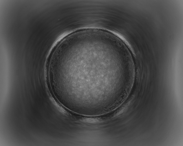 X0000087740998200705071049