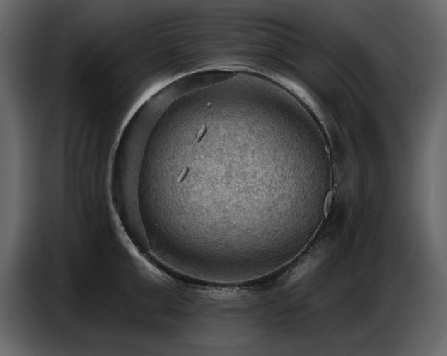 X0000087740999200705071049