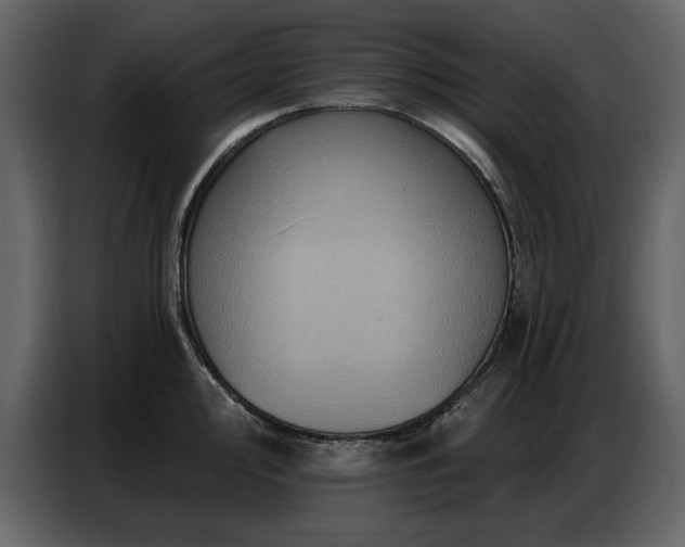 X0000087741000200705071049