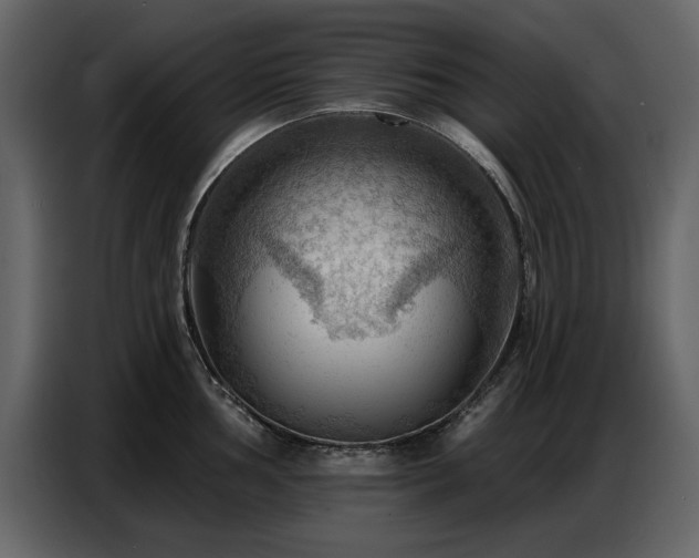 X0000087741002200705071049