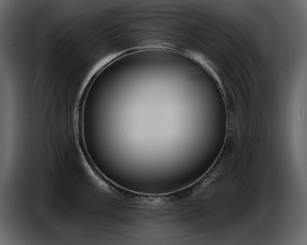 X0000087741003200705071049