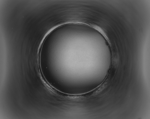 X0000087741004200705071049
