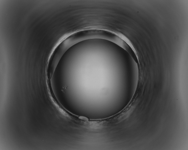 X0000087741005200705071049