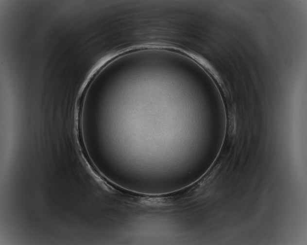 X0000087741006200705071049