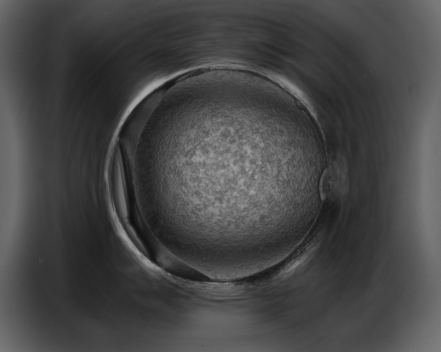 X0000087741007200705071049