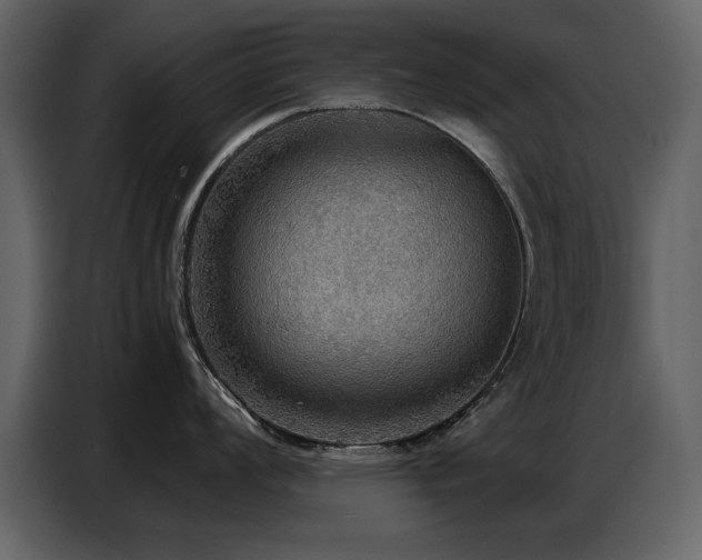 X0000087741008200705071049