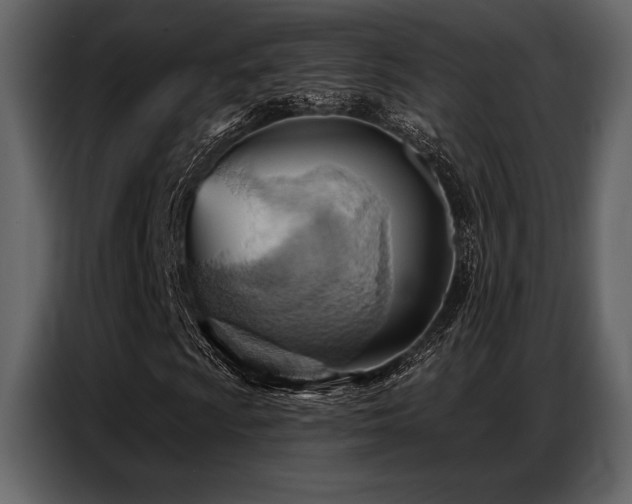 X0000087741009200705071048