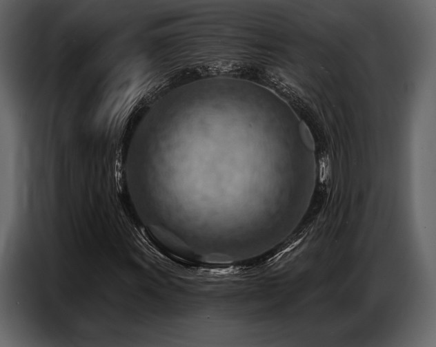 X0000087741011200705071048