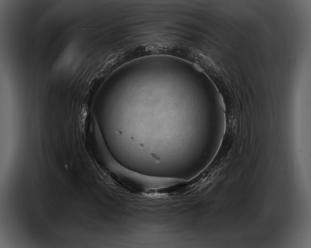 X0000087741012200705071048