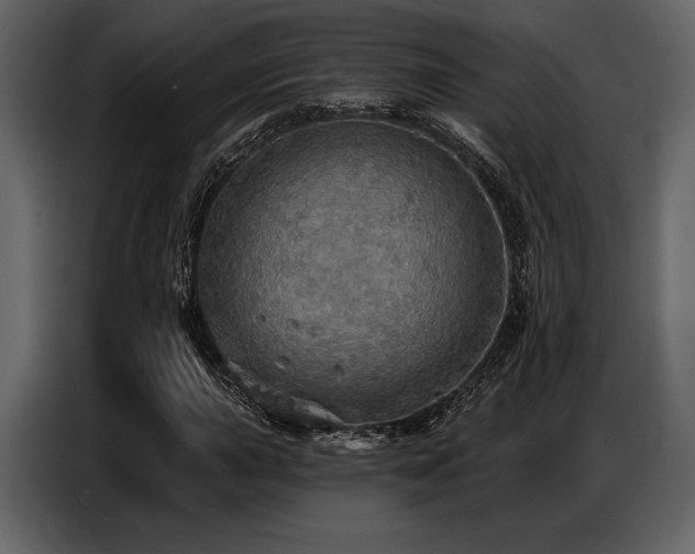 X0000087741015200705071048