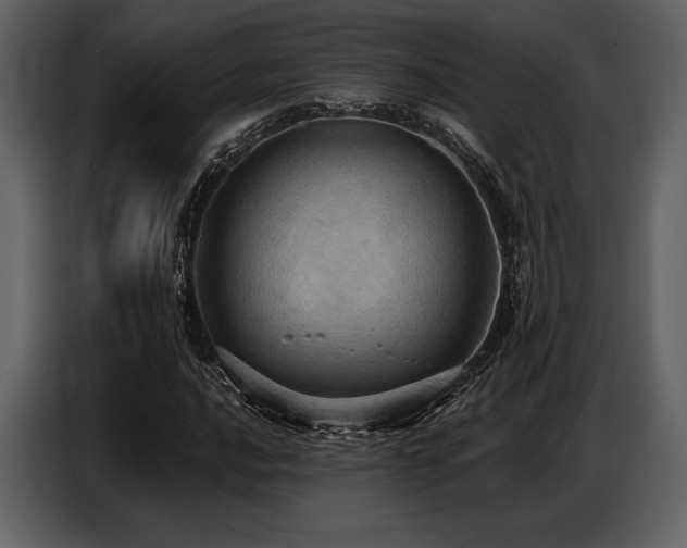 X0000087741016200705071048