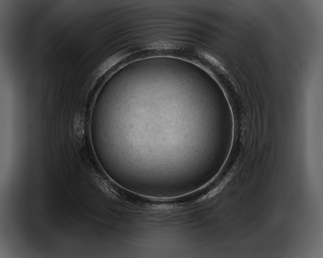 X0000087741017200705071048