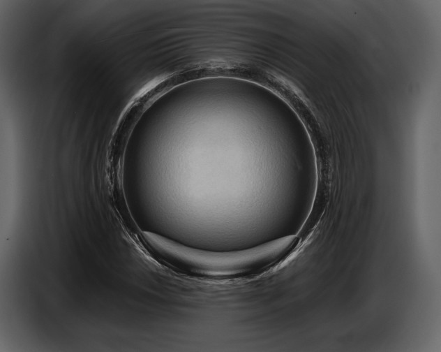 X0000087741018200705071048