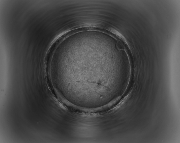 X0000087741019200705071048