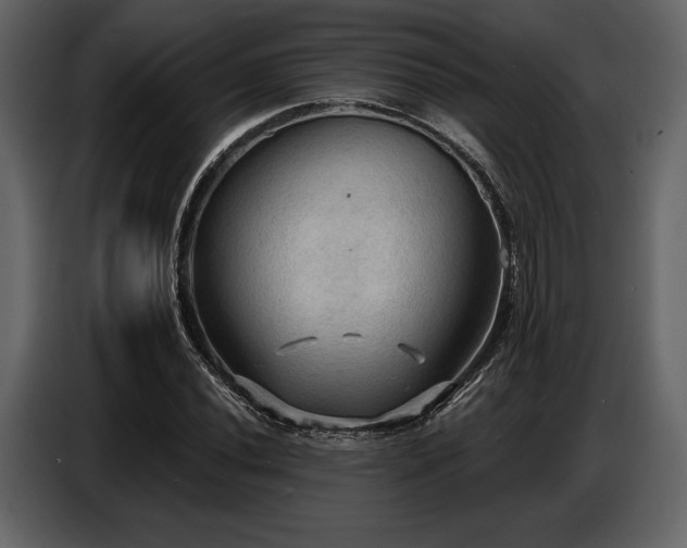 X0000087741020200705071048
