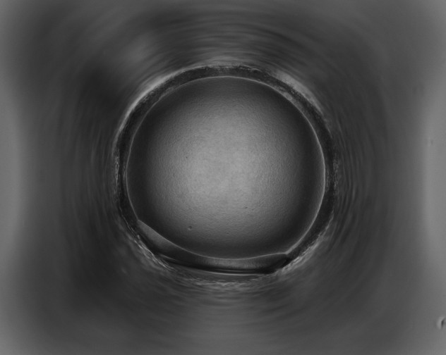 X0000087741021200705071048