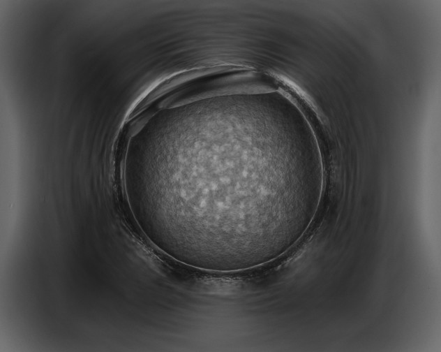X0000087741023200705071048