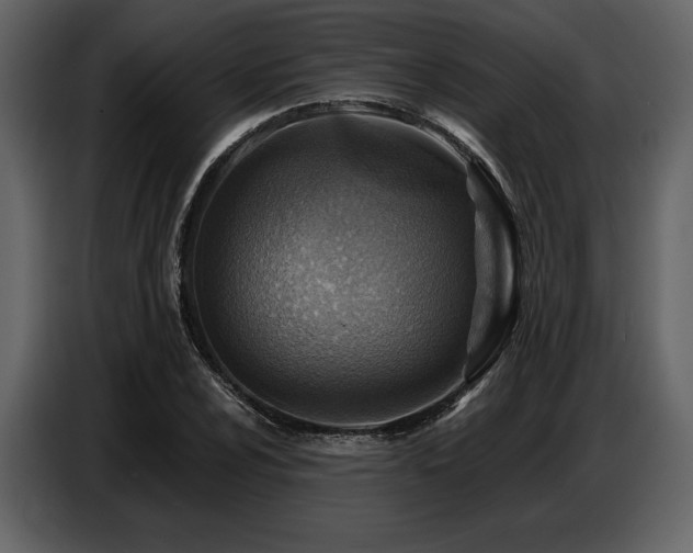 X0000087741024200705071048