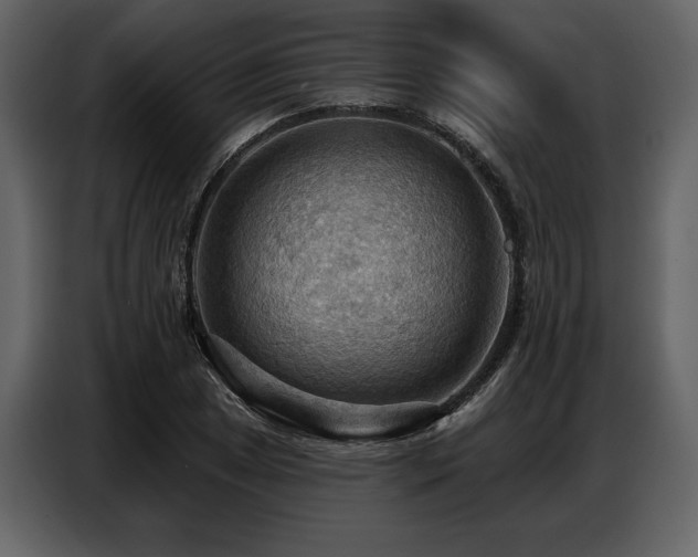 X0000087741025200705071048