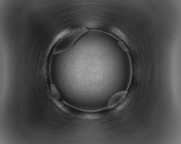 X0000087741026200705071048