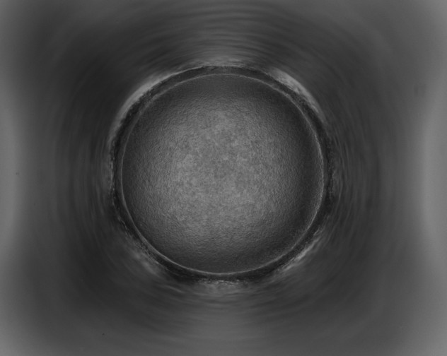 X0000087741027200705071048