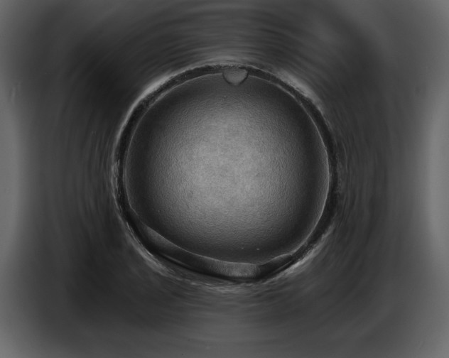 X0000087741029200705071048