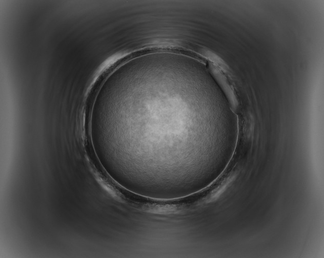X0000087741030200705071048