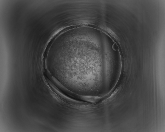 X0000087741031200705071048