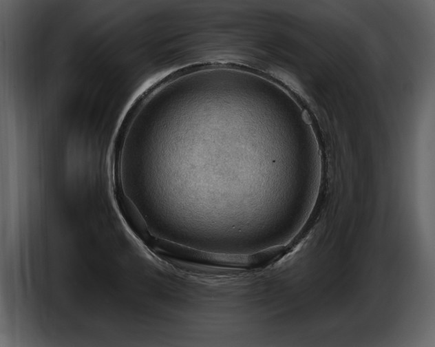 X0000087741032200705071048