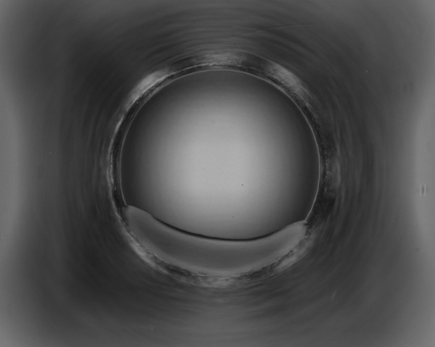 X0000087741034200705071048