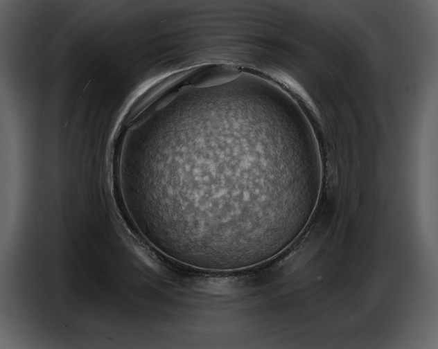 X0000087741035200705071048