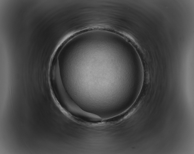 X0000087741038200705071048