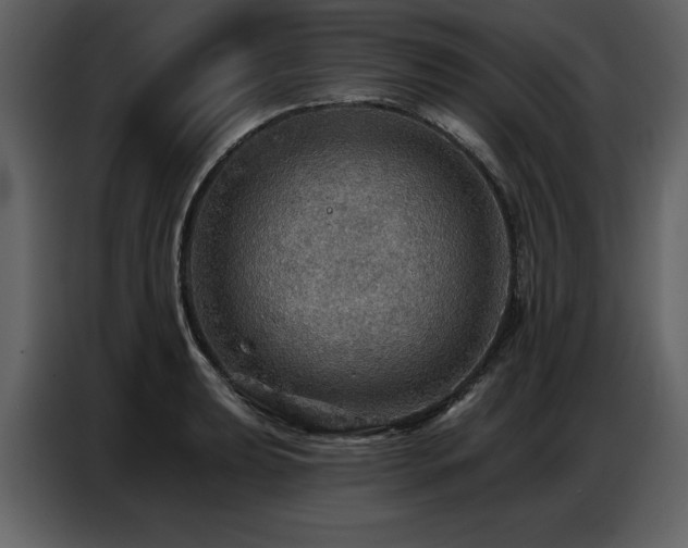 X0000087741039200705071048