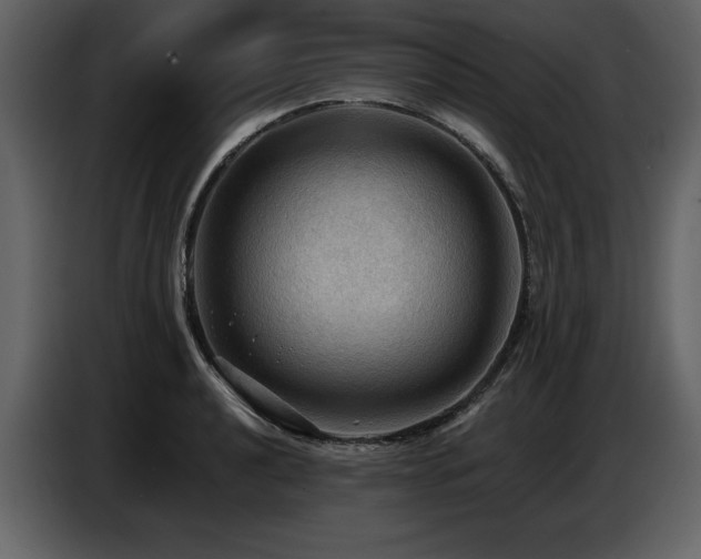 X0000087741040200705071048