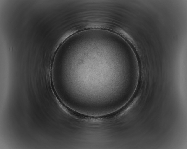 X0000087741041200705071048
