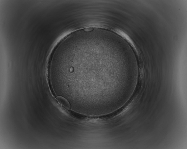 X0000087741043200705071048