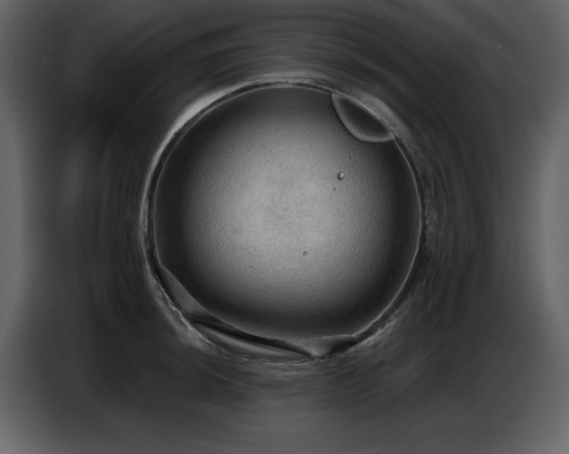 X0000087741044200705071048