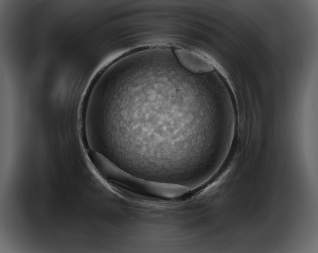 X0000087741045200705071048