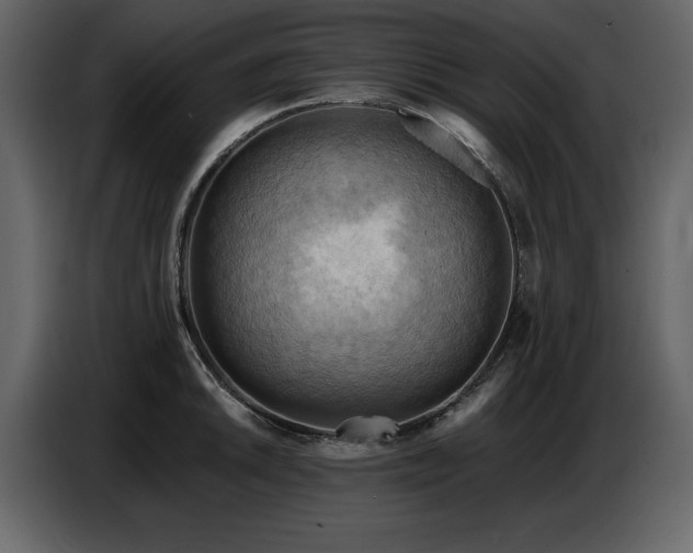 X0000087741046200705071048